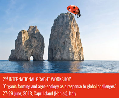 banner-capri_3.jpg